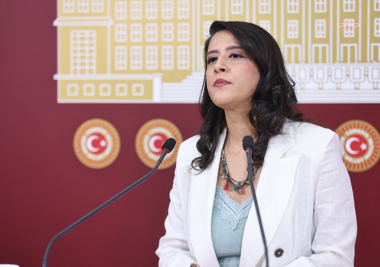 EMEP'li Karaca, Divriği’de işten çıkarılan madencilerin durumu hakkında TBMM’ye soru önergesi verdi